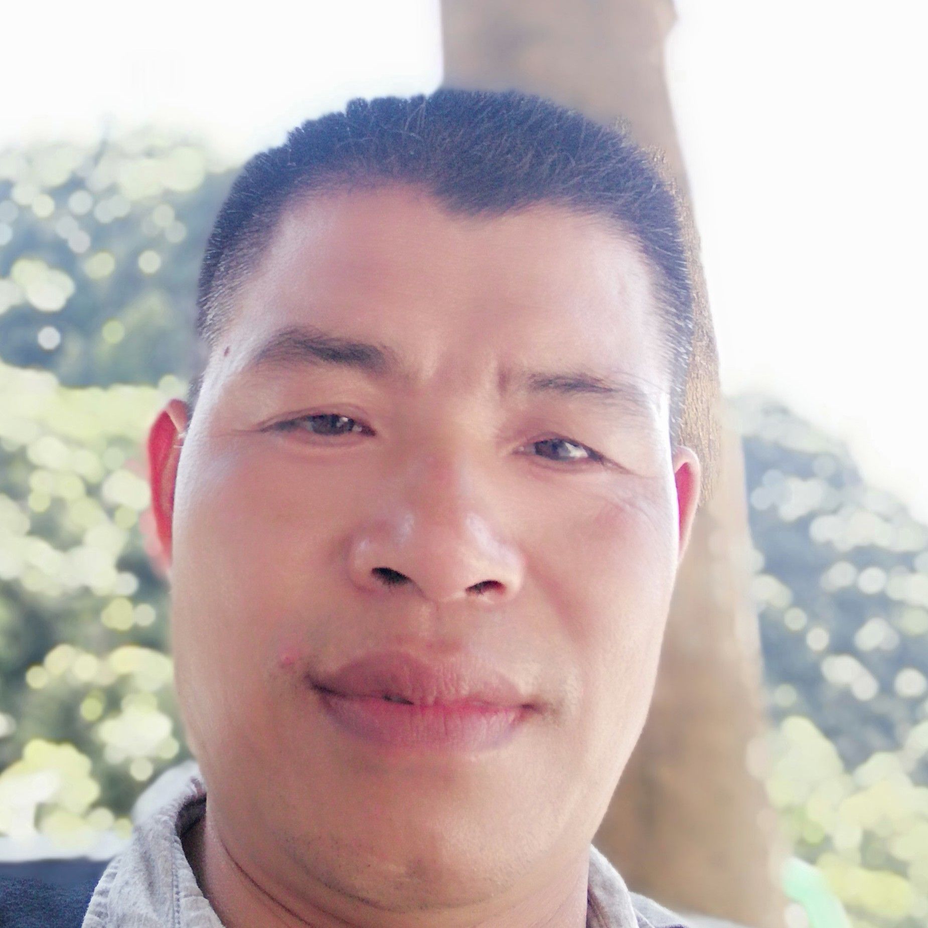 乌龟用无心的照片
