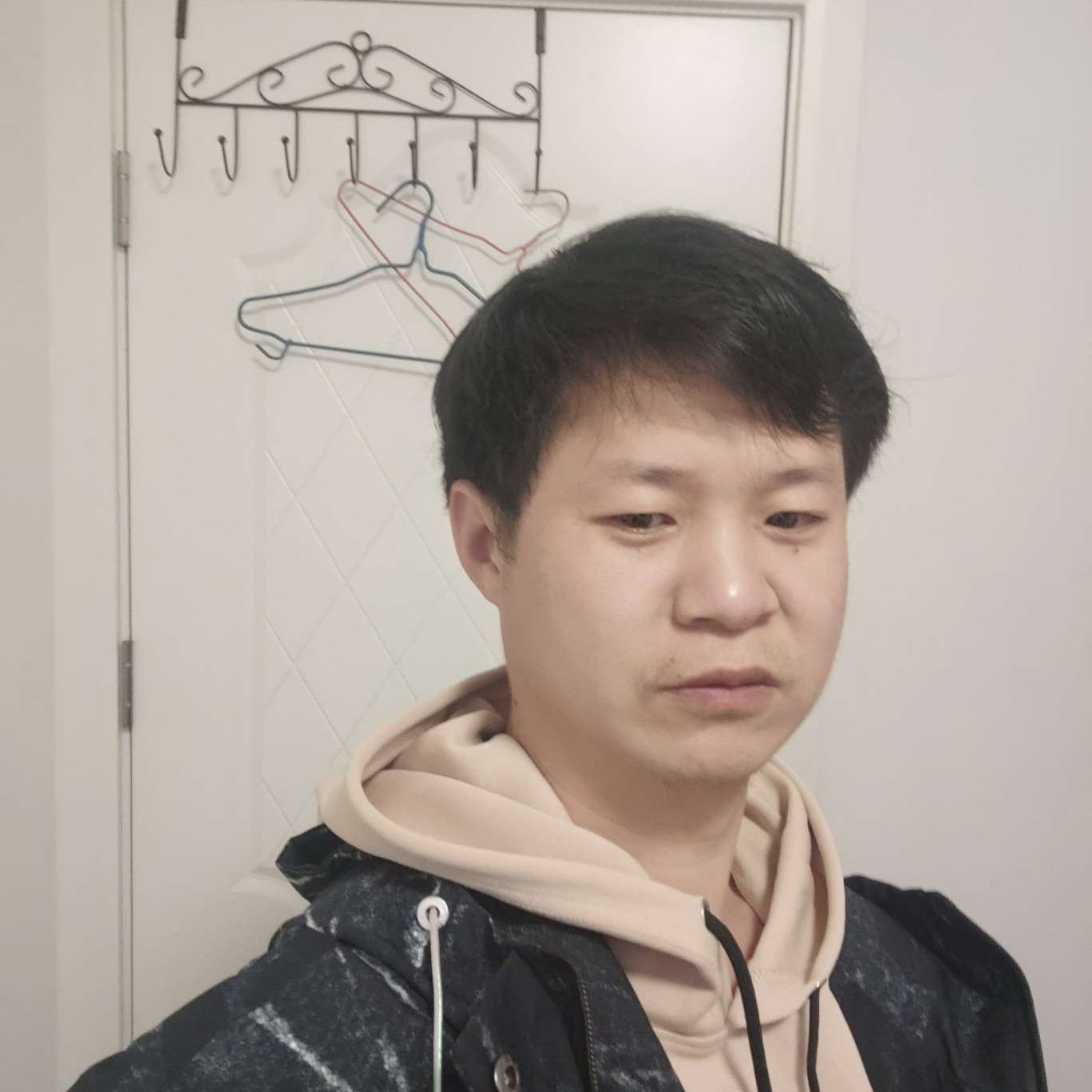 月*月鸟的照片