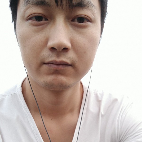 狗开放的照片