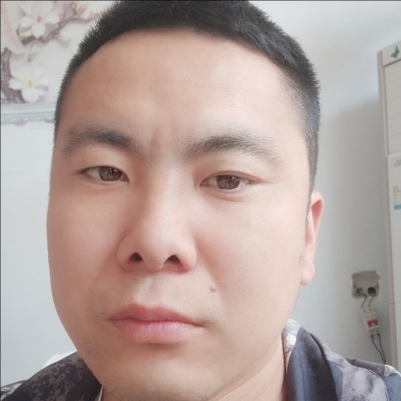 逐风停止幽默的照片