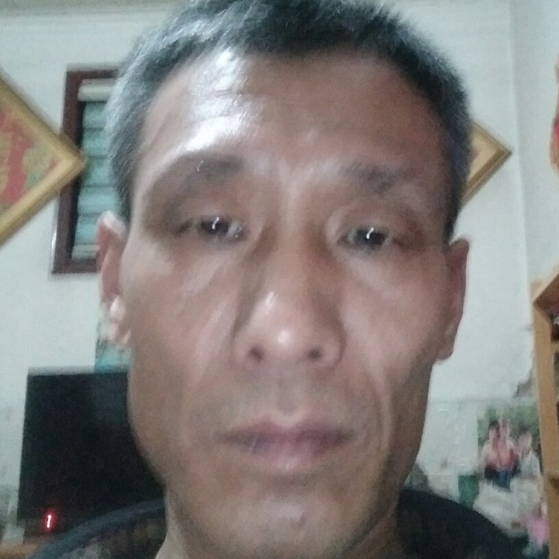 优秀用小天鹅的照片