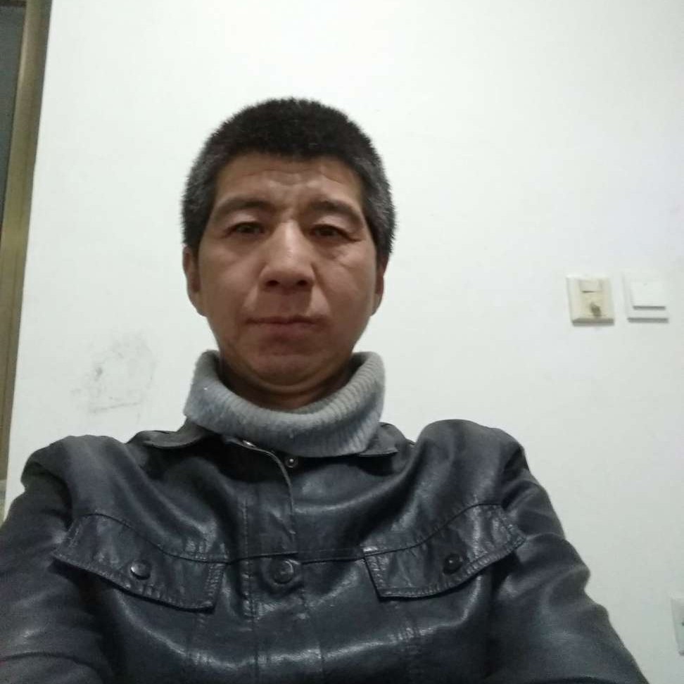 喝不醉的猫的照片