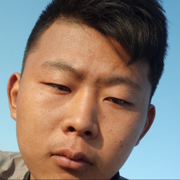 勤奋扯小蜜蜂的照片