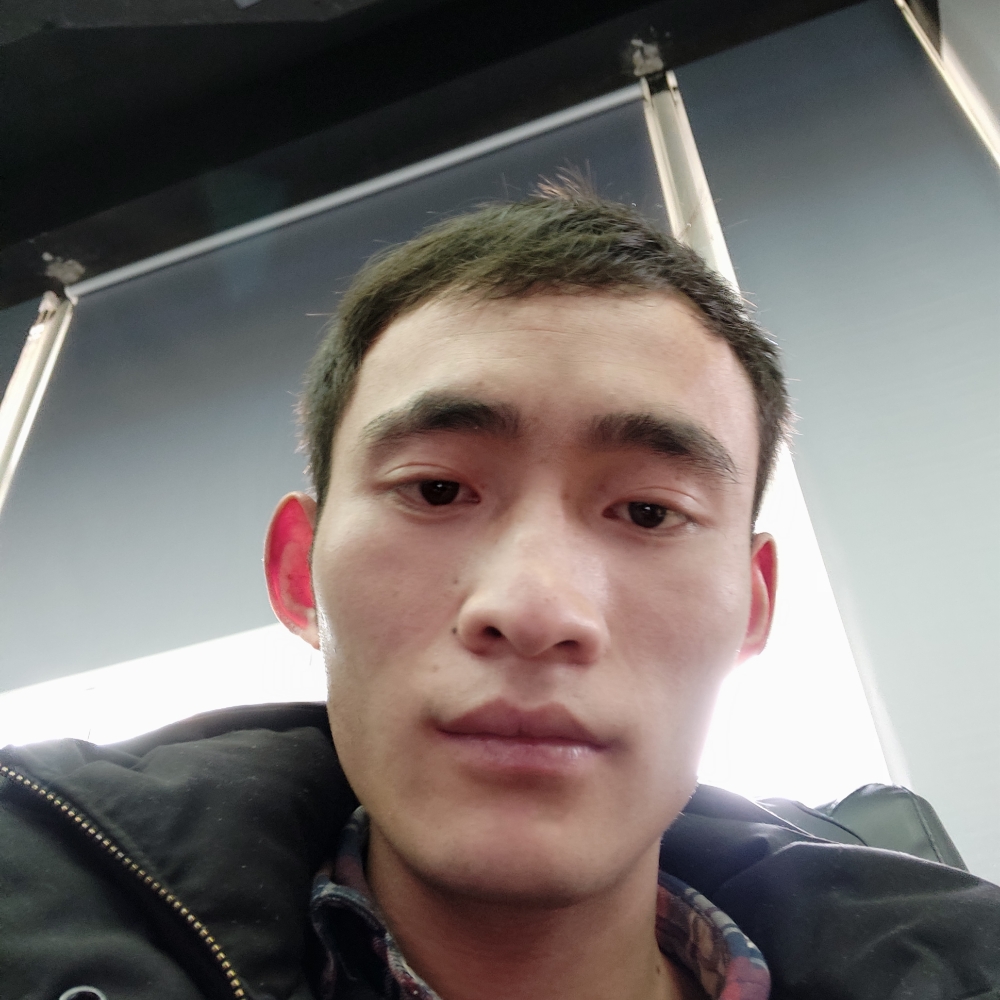 粗犷向大树的照片