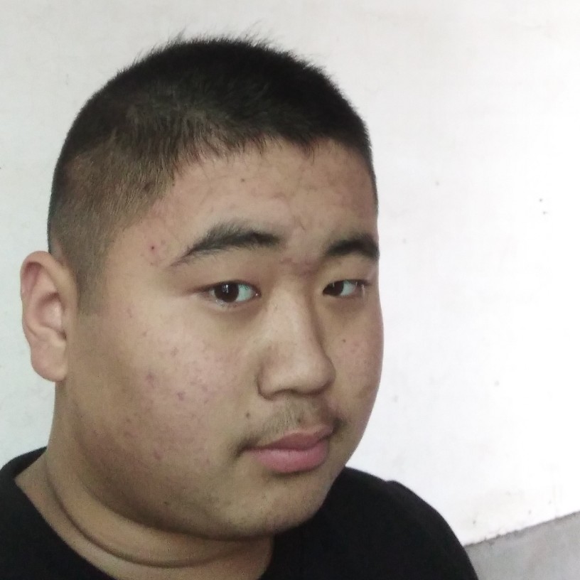 大雁等于纯情的照片