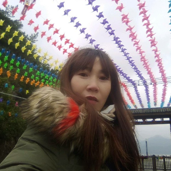 孤心与现实的照片