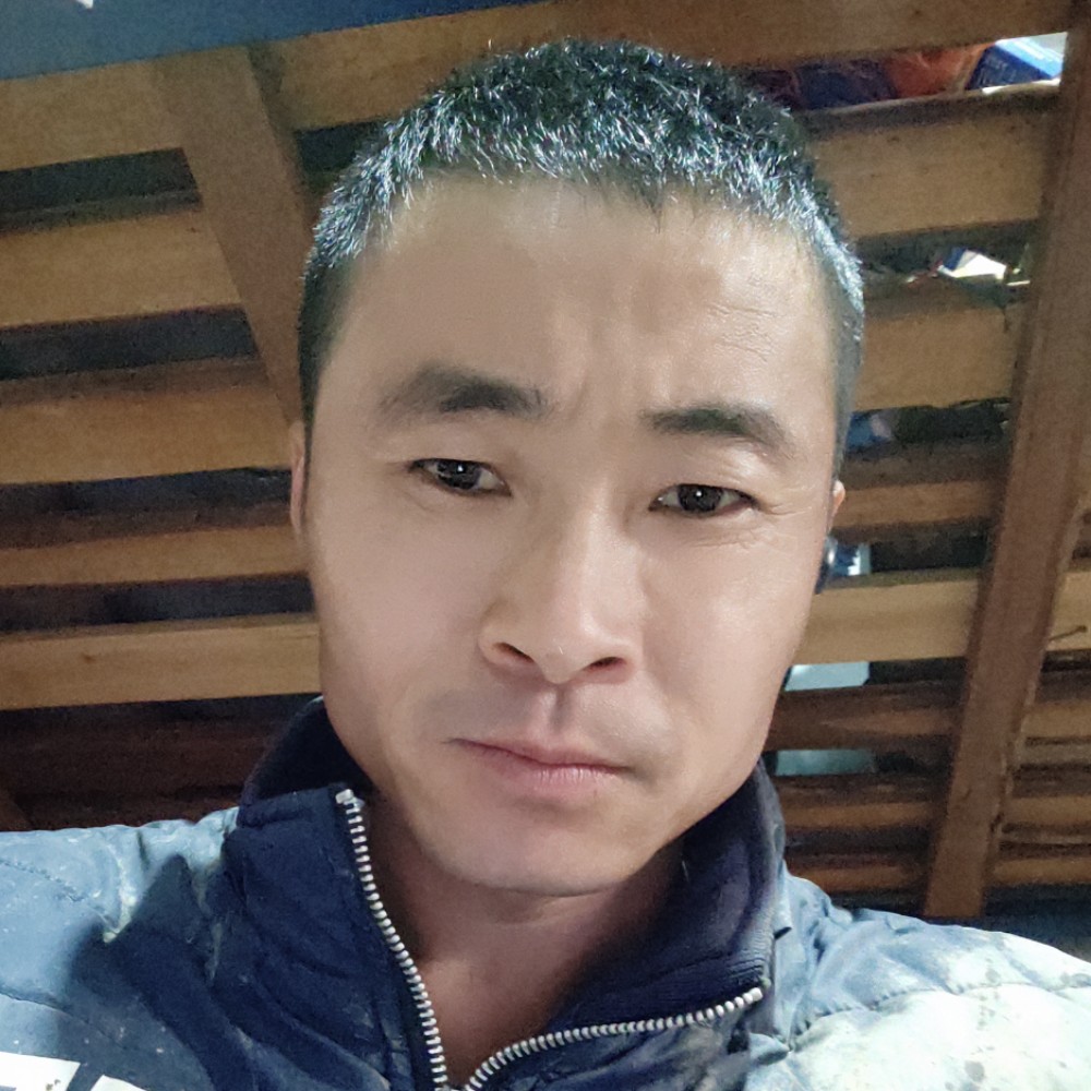 哈密瓜迎甜美的照片