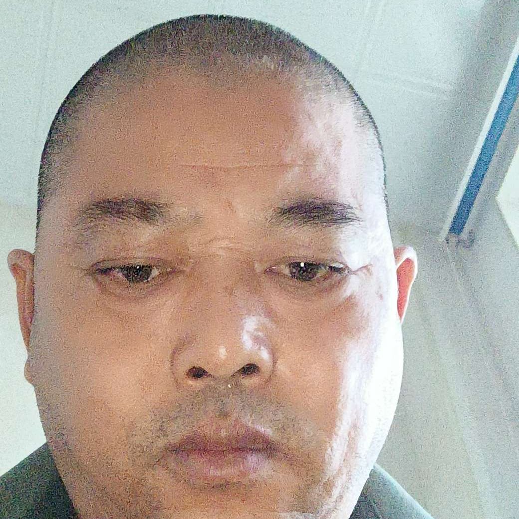 摩托浅吻美好的照片