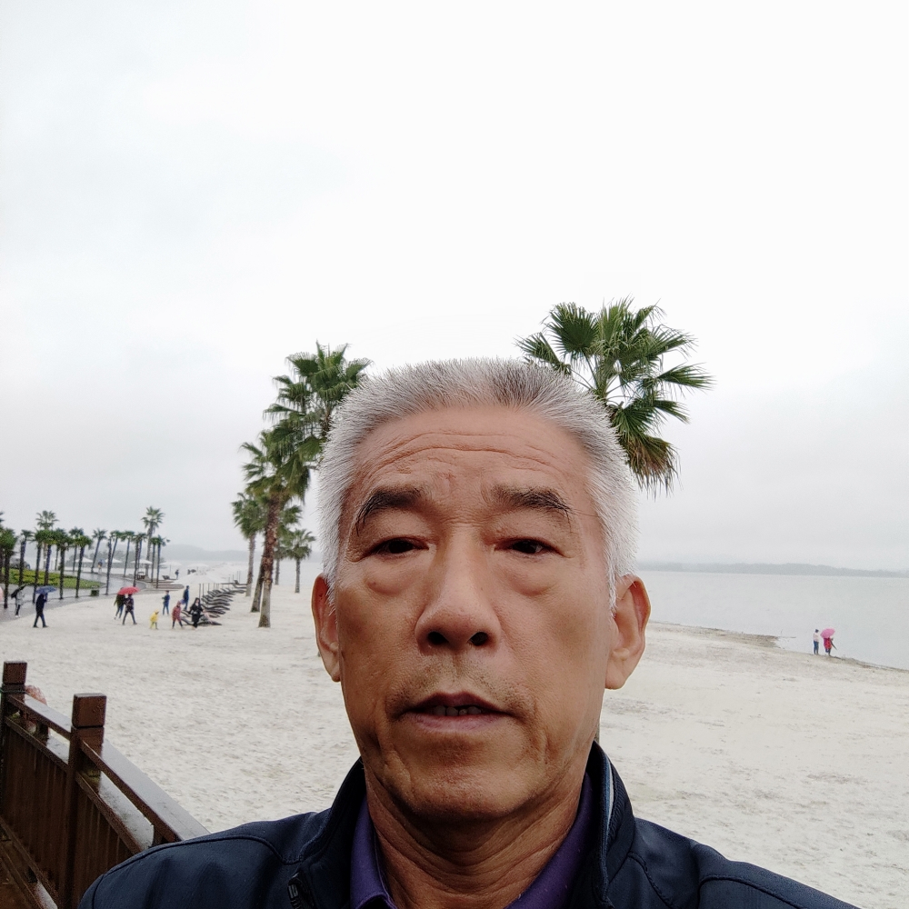秀发机灵的照片