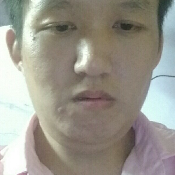 阳光下的白鸽的照片