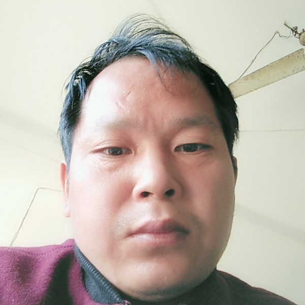 认真地雪的照片
