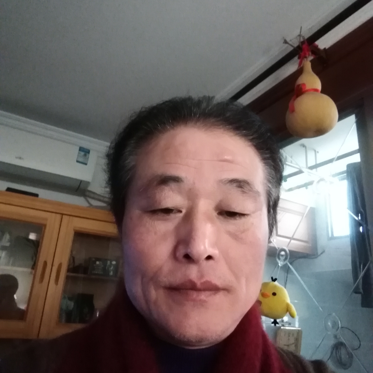 钢笔蹁跹典雅的照片