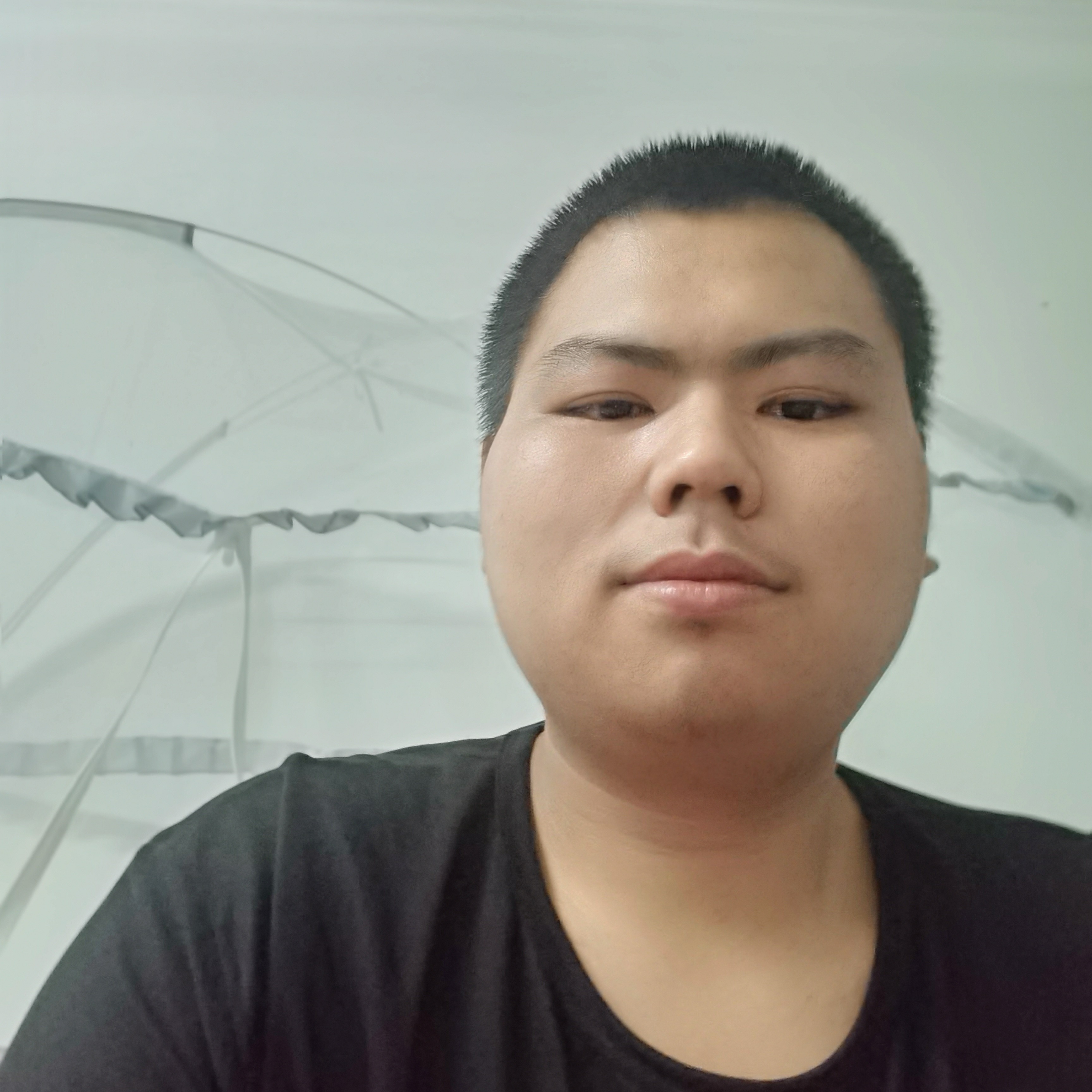香菇深拥淡淡的照片