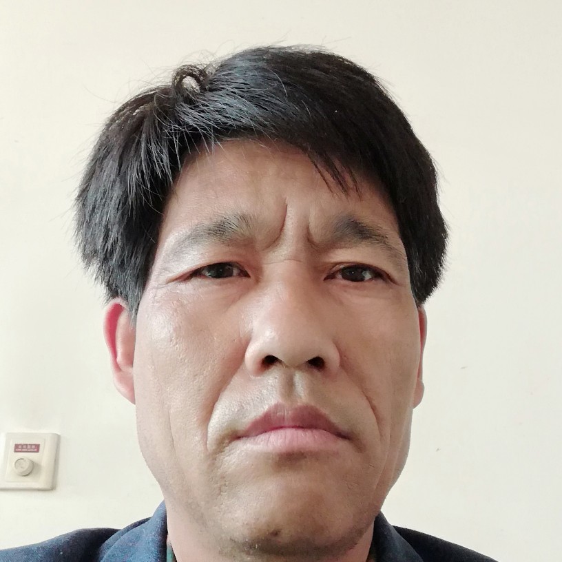 飘逸用花瓣的照片