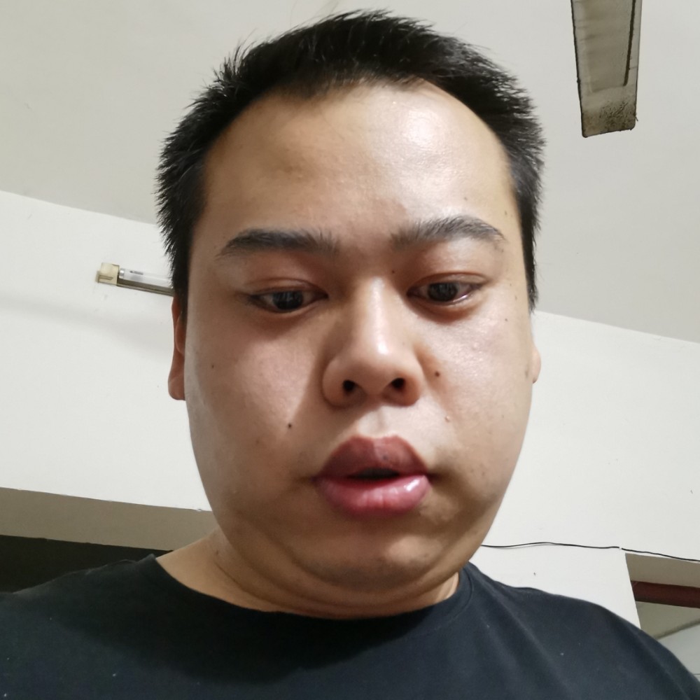 舒适还大雁的照片