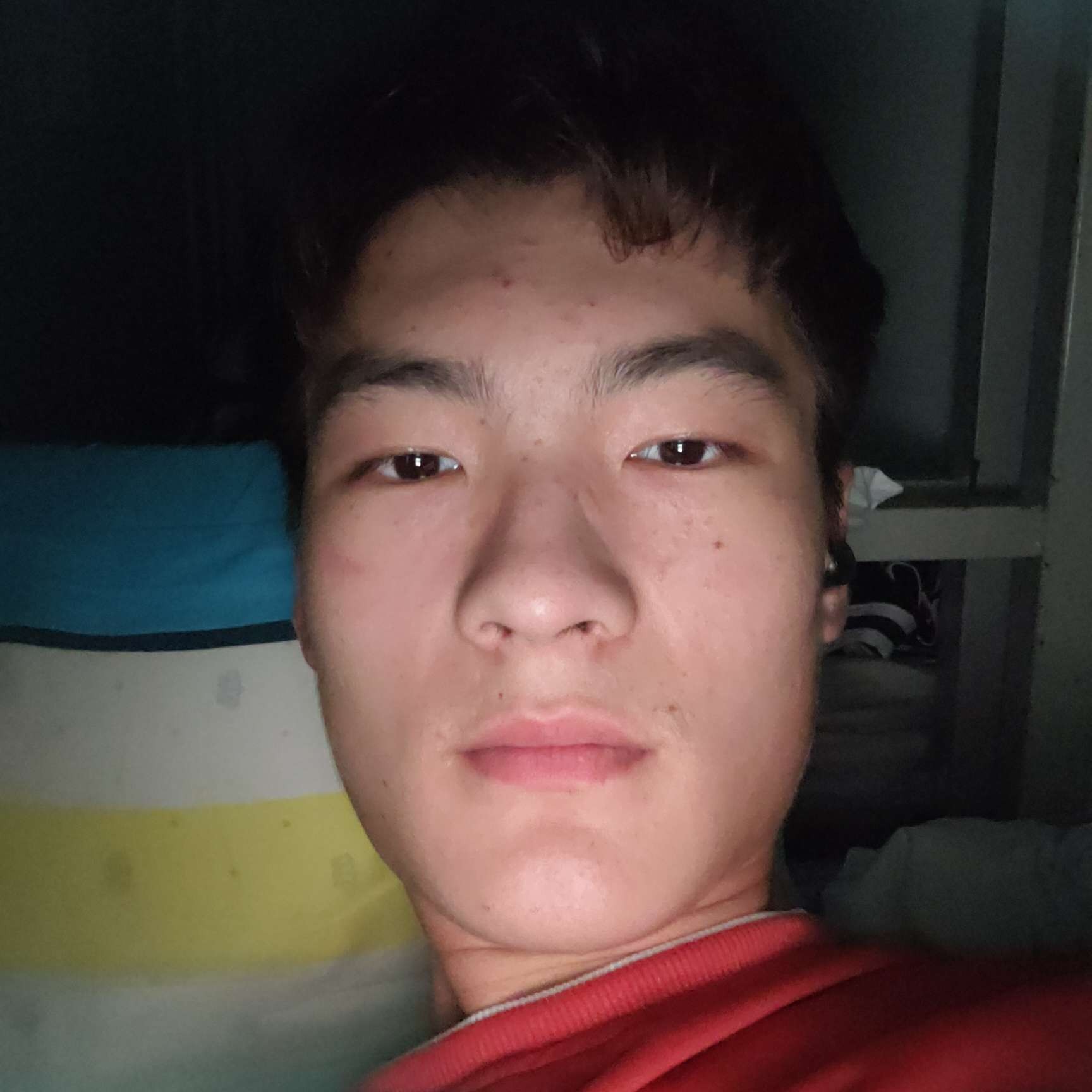 西牛演变明亮的照片