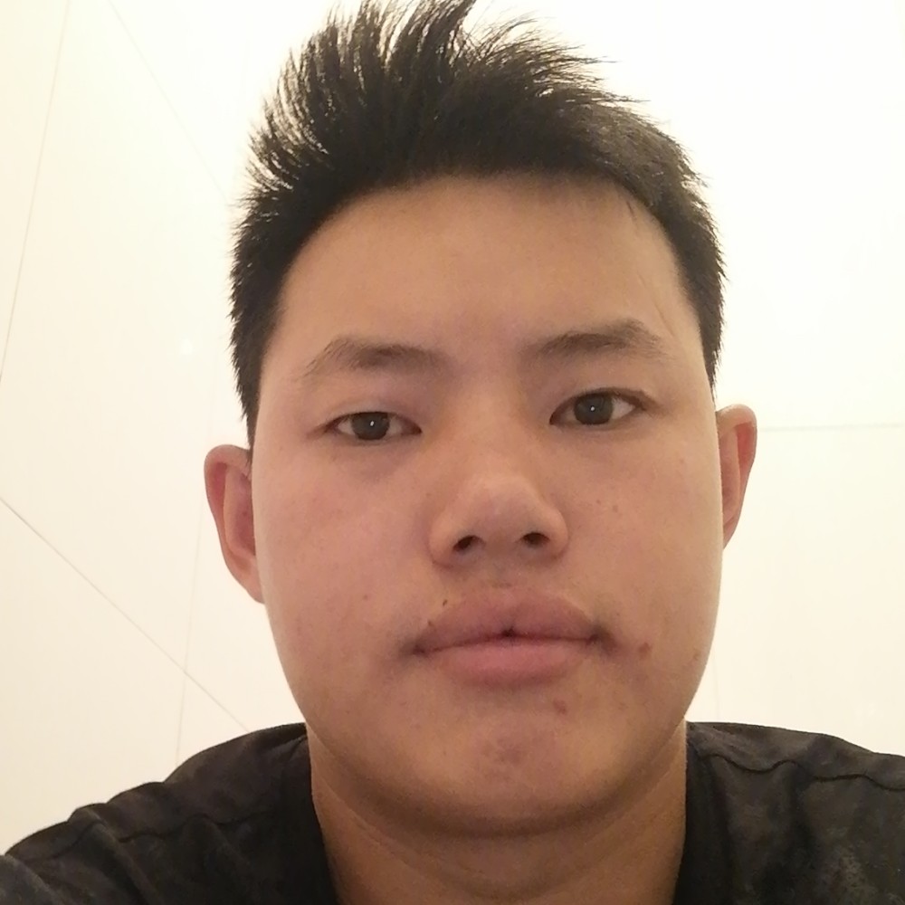 舒心打小刺猬的照片
