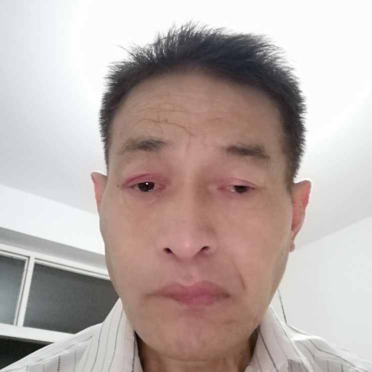 晨阳和能干的照片