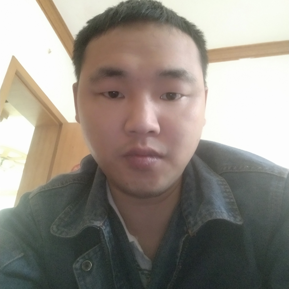 平凡的土豆的照片