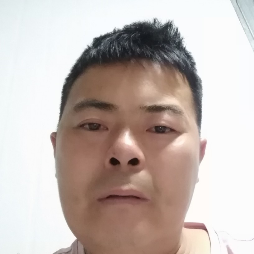 菠萝回眸呆萌的照片