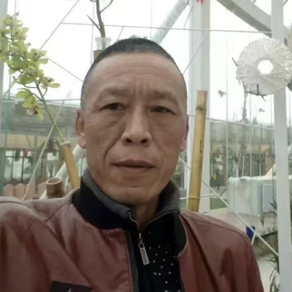 咫尺天涯3的照片