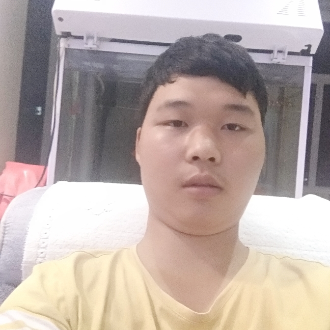 小鸟飞上天的照片