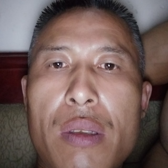羊羊，的照片