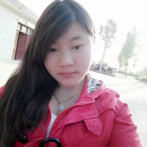 忧郁的羊的照片