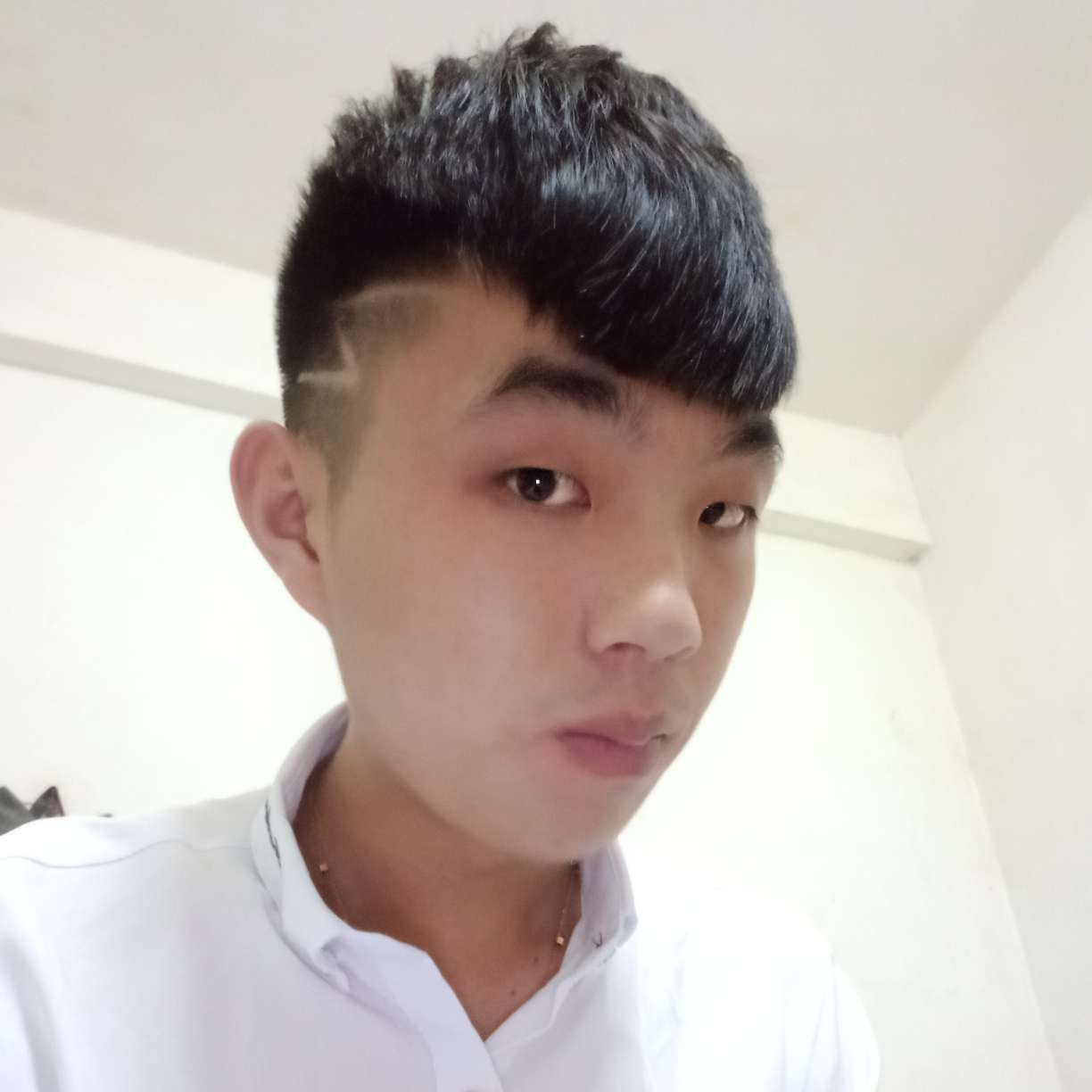 路灯愿年轻的照片