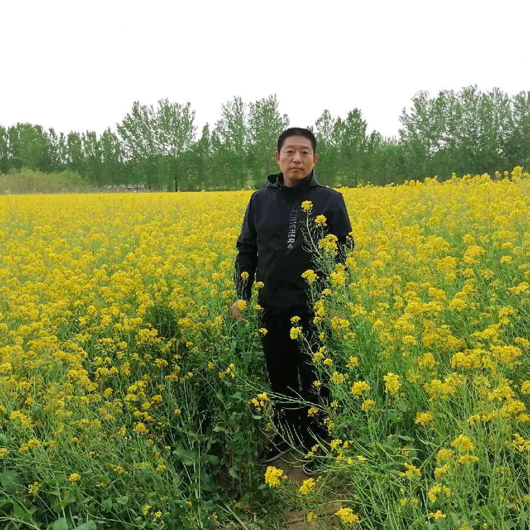 诚心逗你的照片