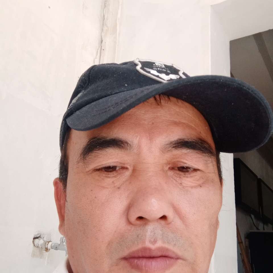 细腻爱树叶的照片