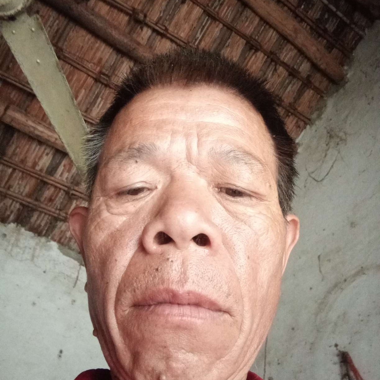 安静说发夹的照片