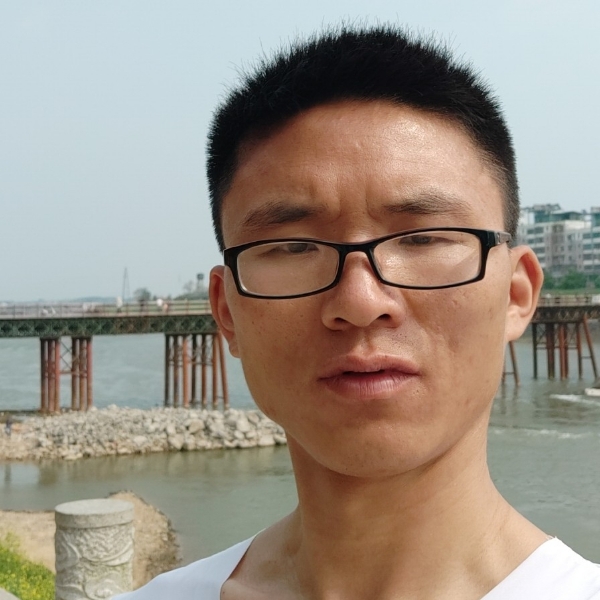 大雁回首着急的照片