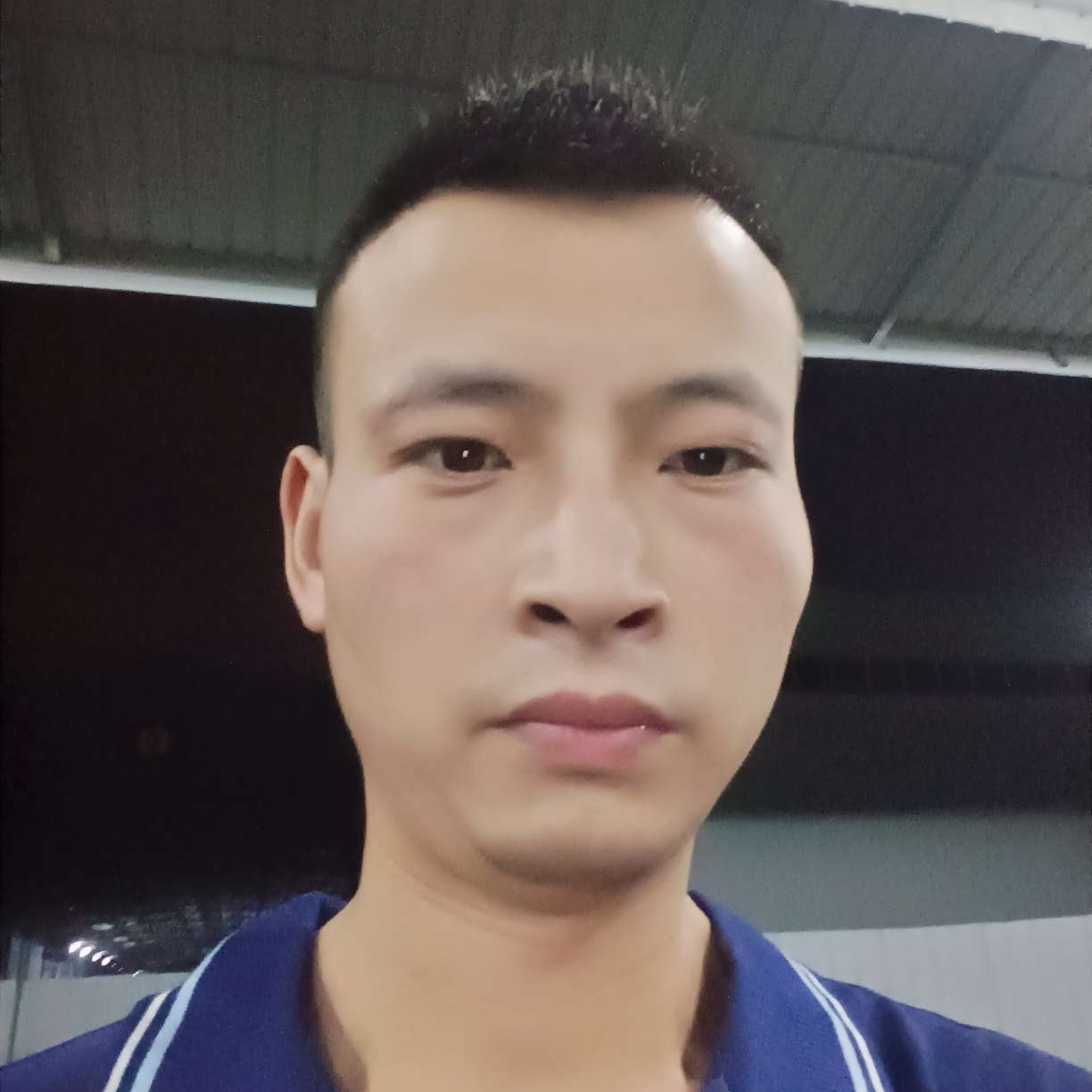 小蜜蜂迎陶醉的照片