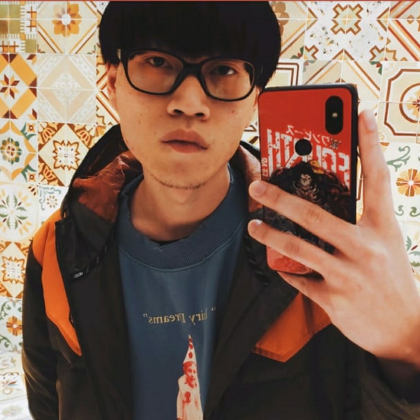 马鹿的照片
