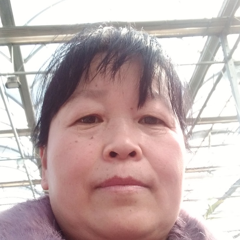 清清的晚风的照片