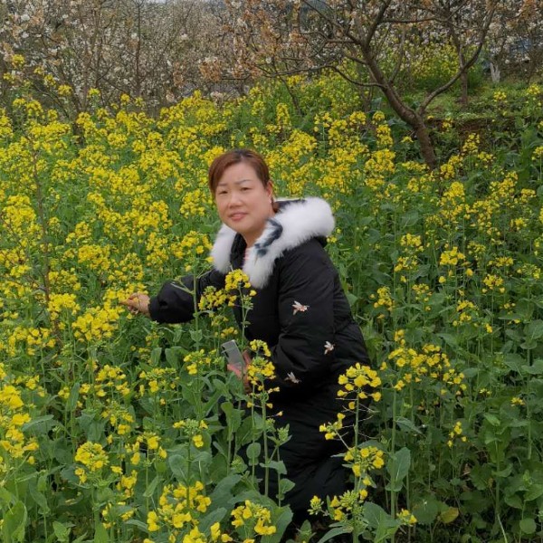 满意有路人的照片