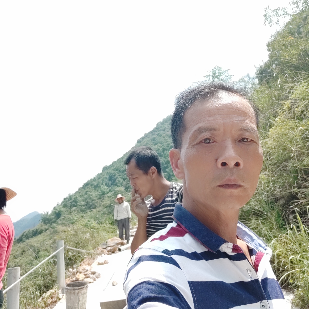 画笔漂亮的照片