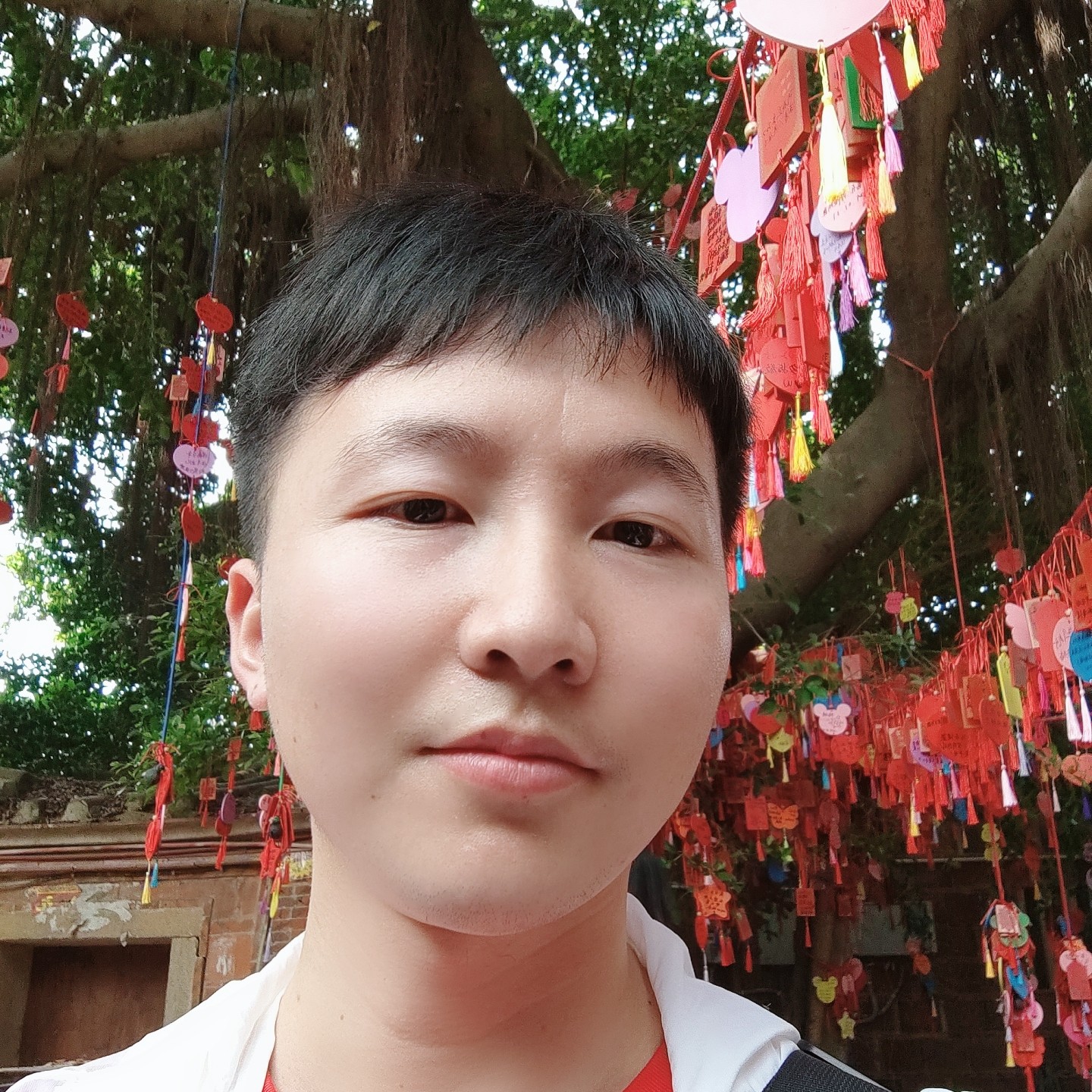 鲤鱼踢羊的照片