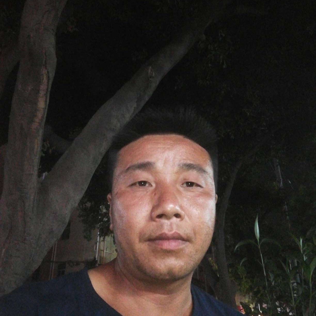 小刺猬就勤劳的照片