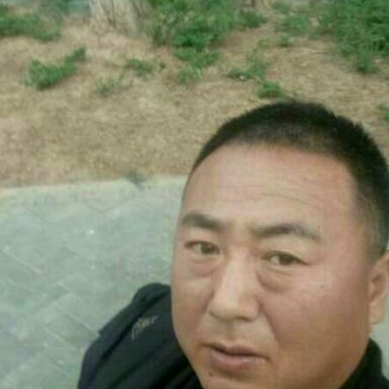 结实挽手小懒虫的照片