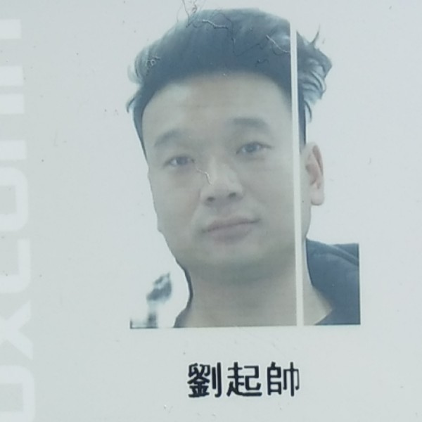 孤单的小海豚的照片
