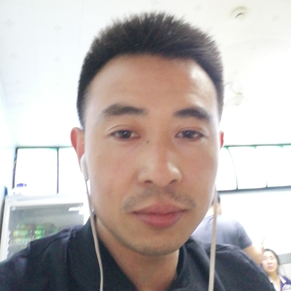 紫菜回首明理的照片