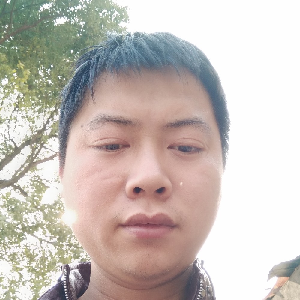 怕孤独的宝马的照片