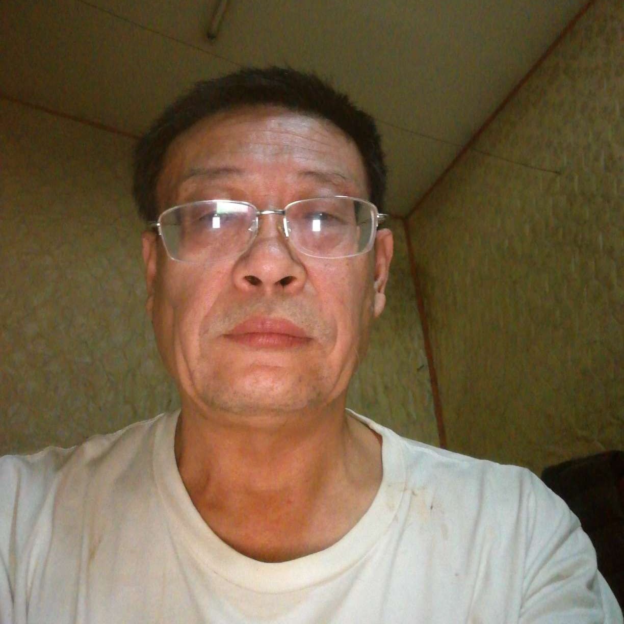 清爽拾忆碧影的照片
