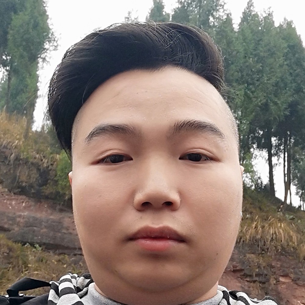 发卡生动的照片