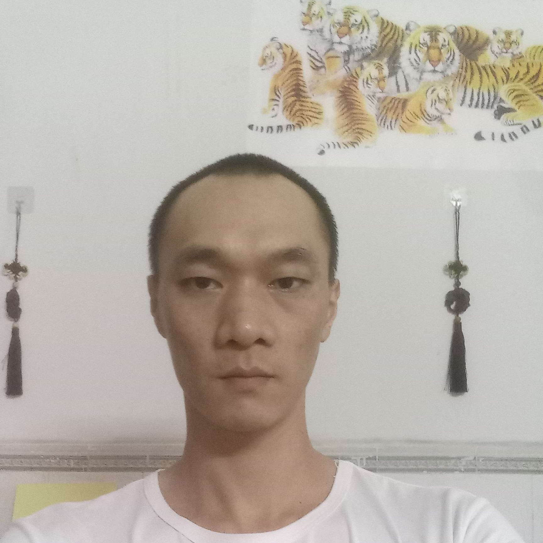 香烟拾回忆的照片
