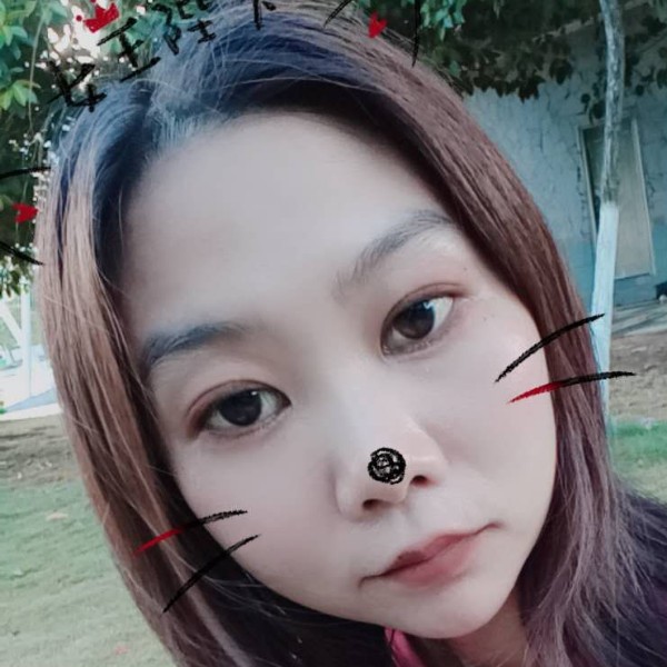 绵绵冰糖的照片