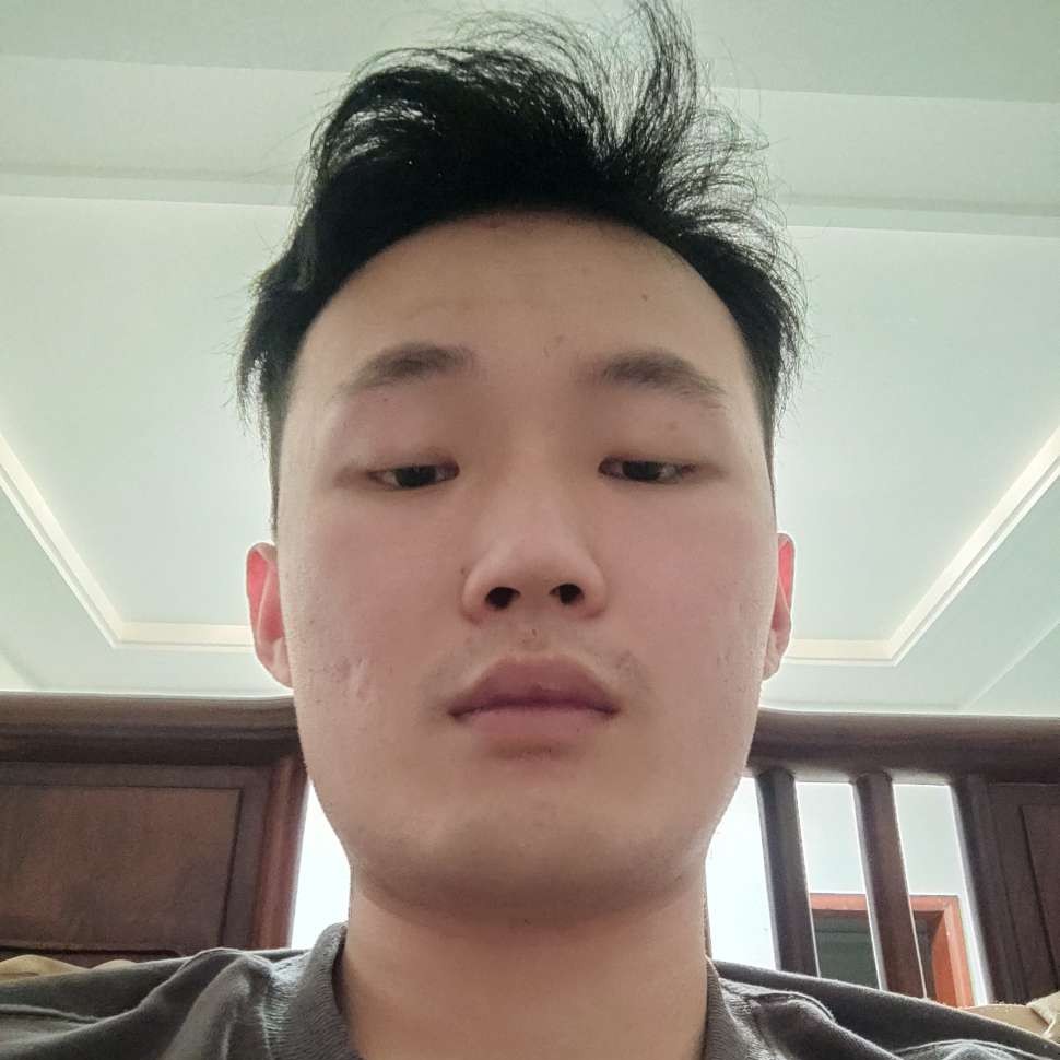 暴躁相许蚂蚁的照片