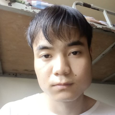 流影愿翩飞的照片
